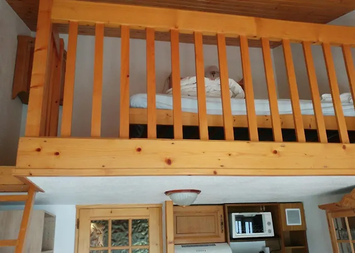 A Avec Balcon, Animaux Acceptes Et Parking - Fr-1-517-12 *